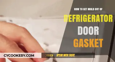Effective Ways to Remove Mold from Your Refrigerator Door Gasket