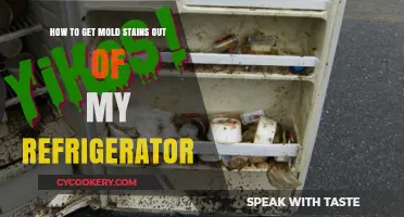 Effective Tips to Remove Mold Stains from Your Refrigerator