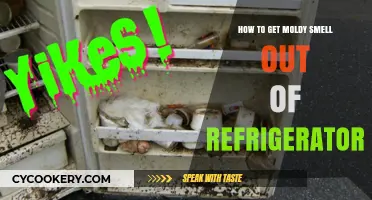 Freshen Up Your Fridge: A Guide to Eliminating Moldy Odors