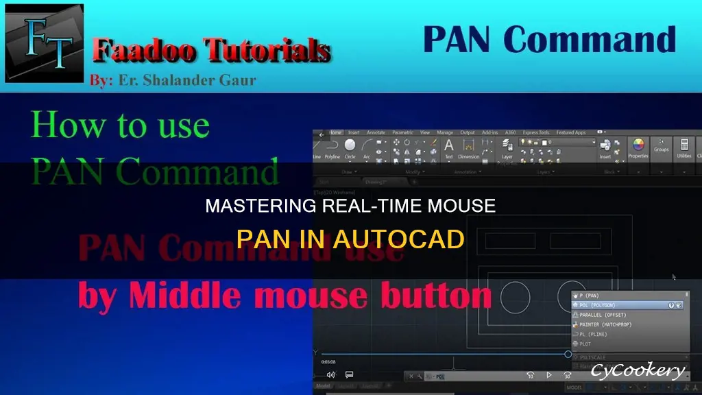 how to get mouse to pan realtime in autocad