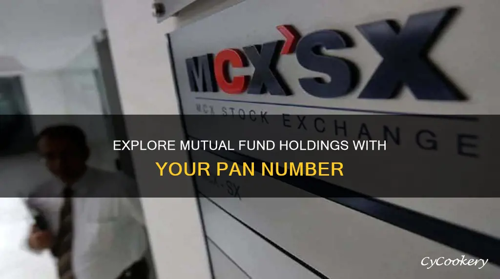 how to get mutual fund holdings with pan number