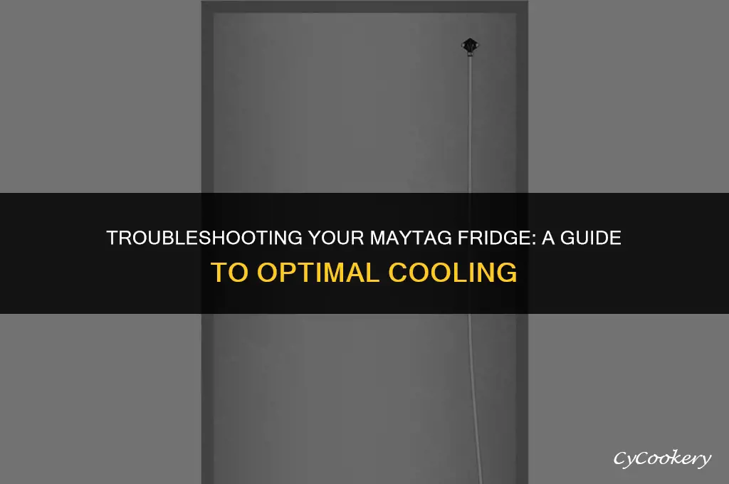 how to get my maytag refrigerator to cool
