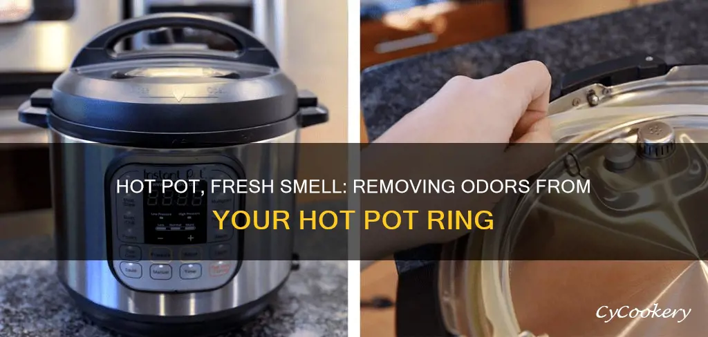 how to get odors out of hot pot ring