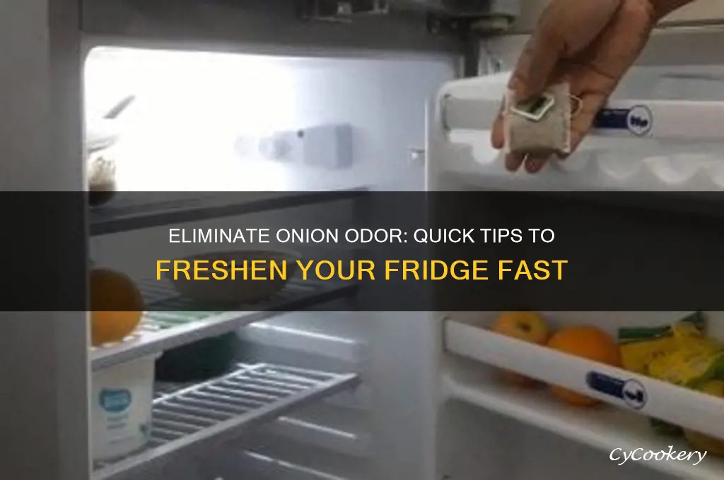 how to get onion smell out of refrigerator