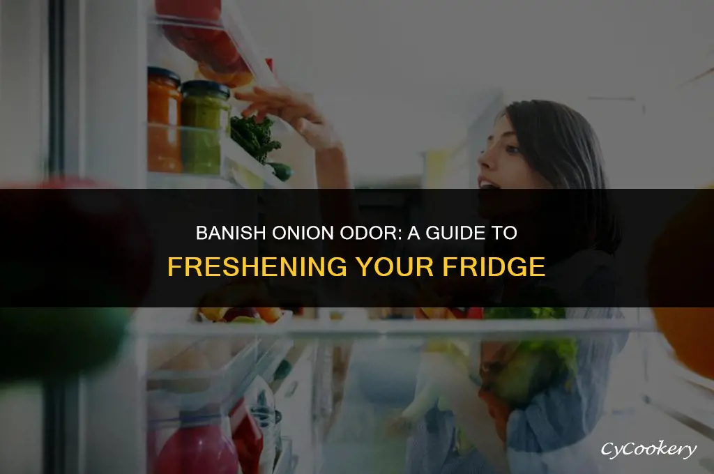 how to get onion smell out of the refrigerator