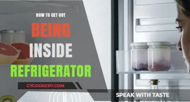 Escaping the Chill: Quick Tips to Exit a Refrigerator Safely