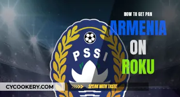 Get Pan Armenia on Roku: Quick and Easy Steps