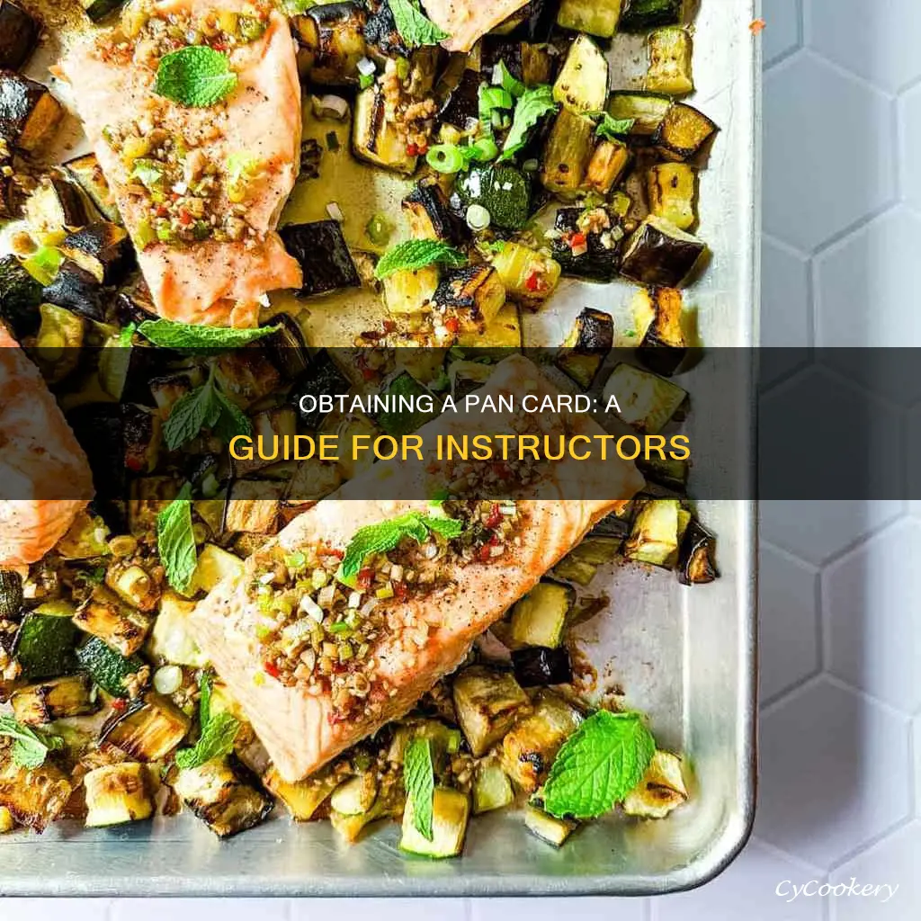 how to get pan as an instructor
