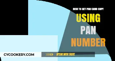 Retrieve Your PAN Card Copy Easily Using Your PAN Number
