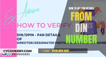 Retrieving PAN Details: Using Your DIN Number