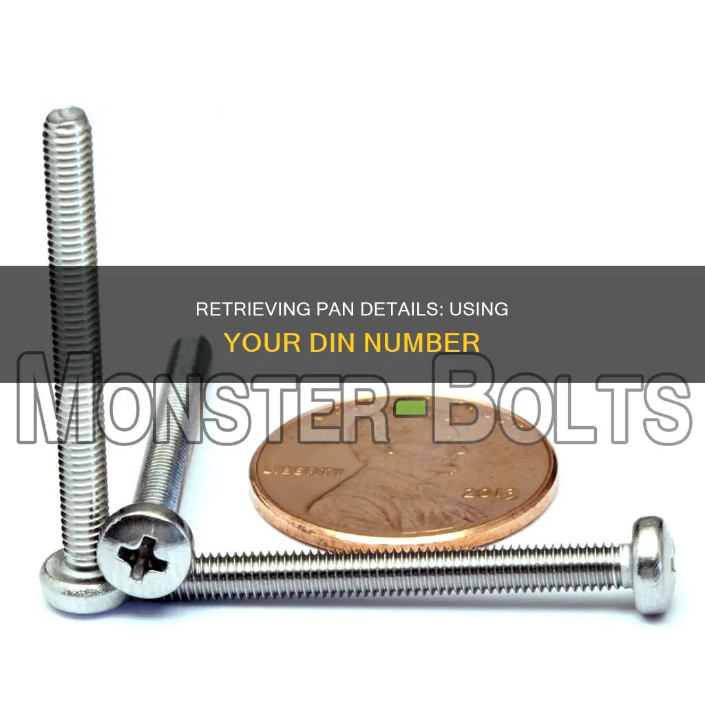 how to get pan details from din number