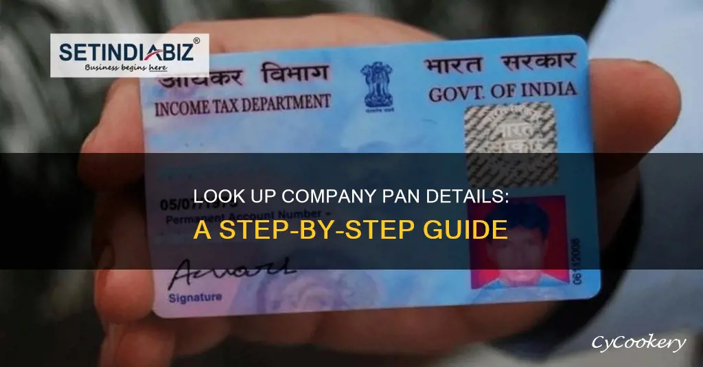 how to get pan details of a company