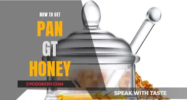 Get Pan GT Honey: Easy Steps to Follow