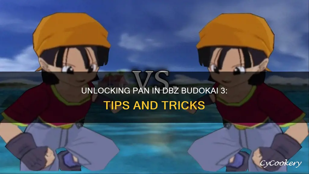 how to get pan in dbz budokai 3