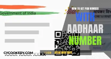 Instant PAN Card: Aadhaar Linkage