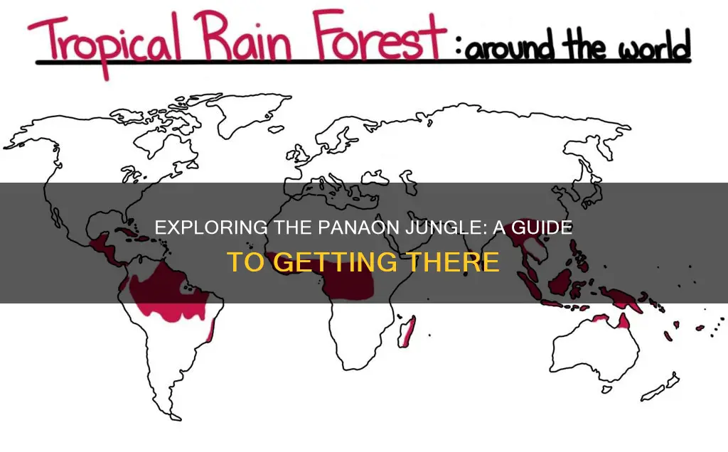 how to get panan jungle