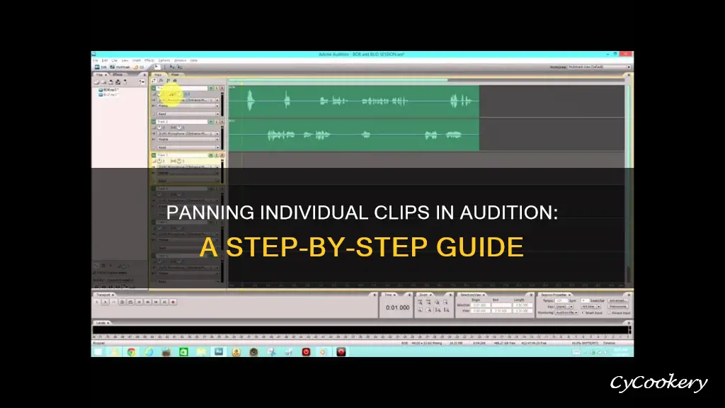 how to get panning for individual clips in audition