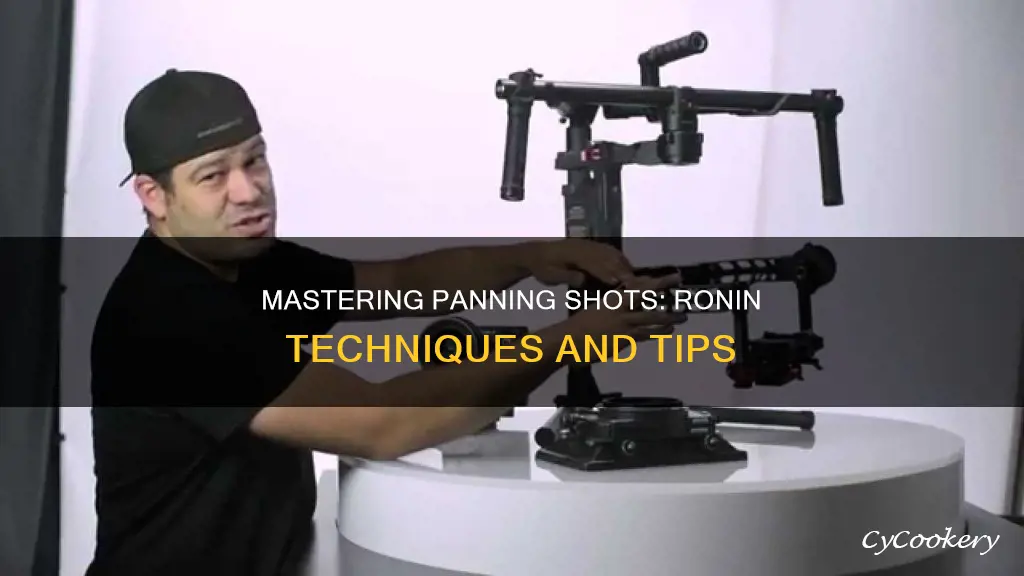 how to get panning shot with ronin