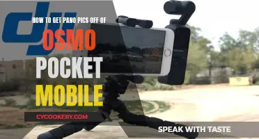 Unleashing Osmo Pocket: Mastering Panoramic Photo Transfers