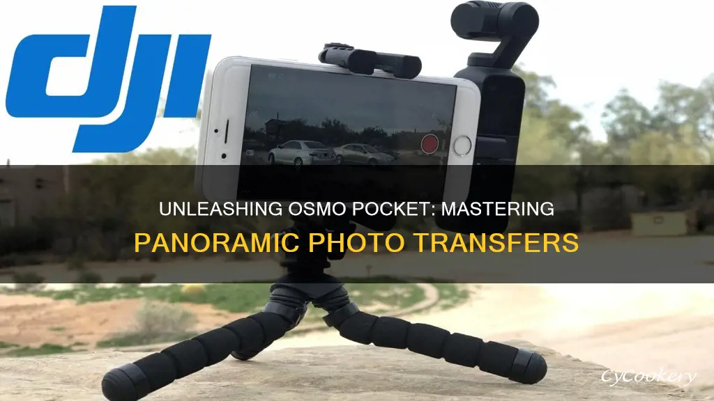 how to get pano pics off of osmo pocket mobile