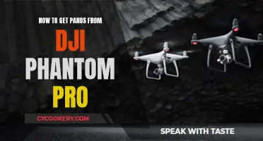 Capturing Panoramas with the DJI Phantom Pro