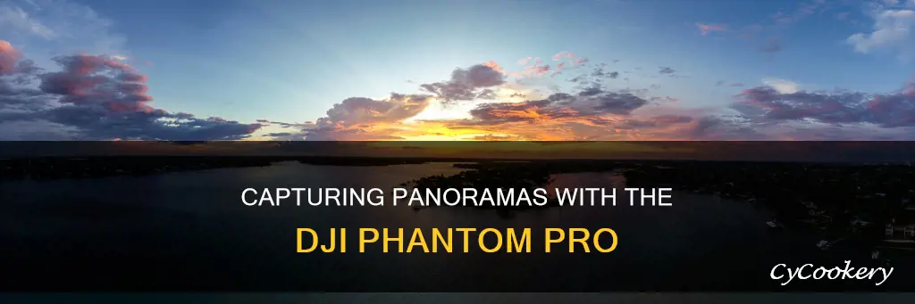 how to get panos from dji phantom pro