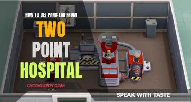 Unlocking Two Point Hospital's Pan's Lab