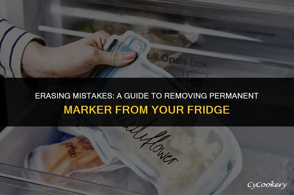 how to get permanent marker off a refrigerator