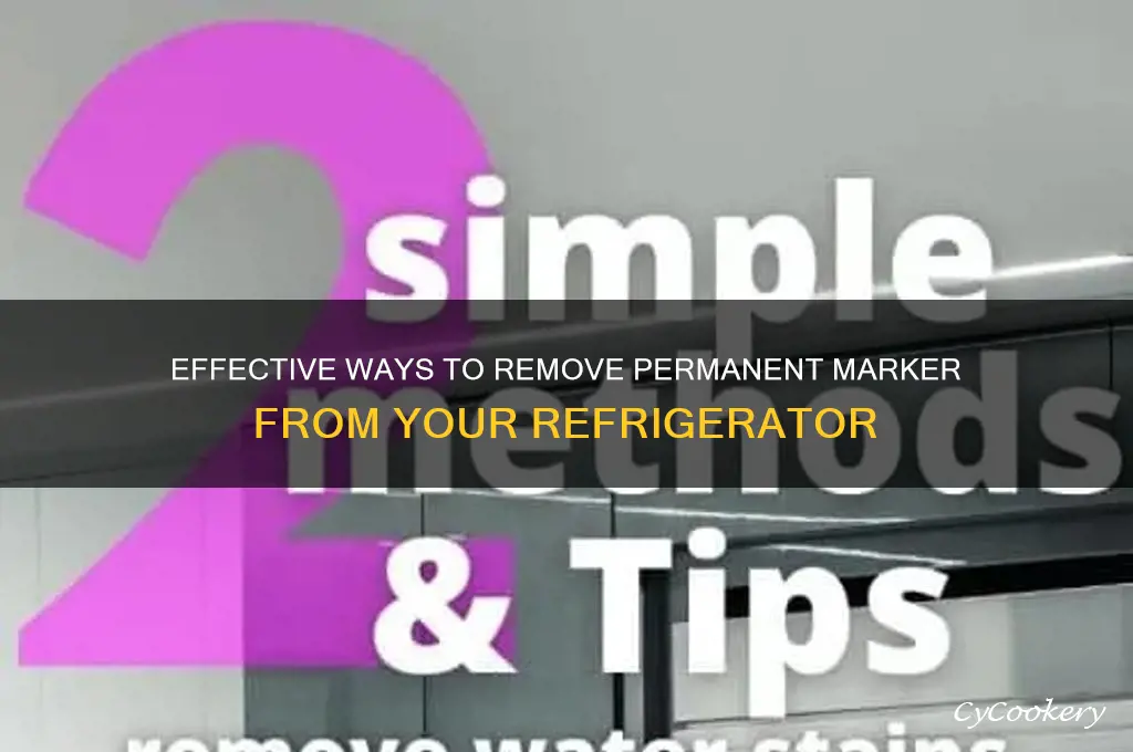 how to get permanent marker off refrigerator