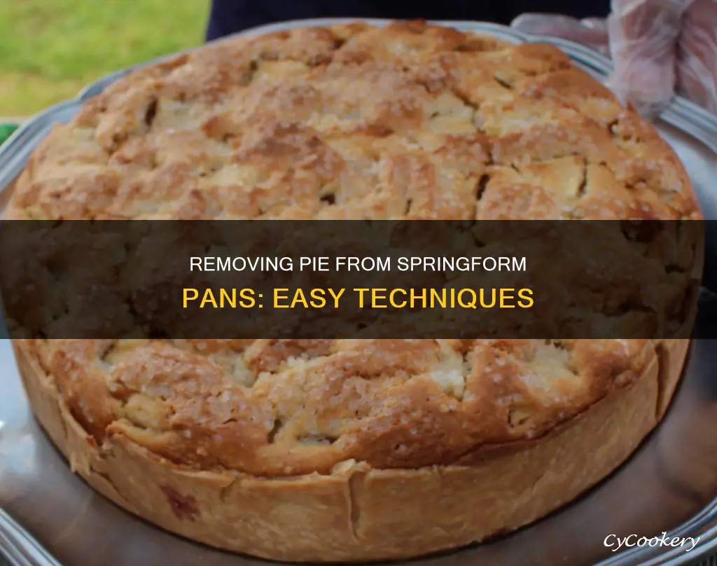 how to get pie out of springform pan