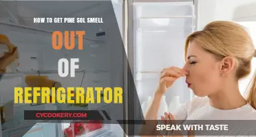 Freshen Up Your Fridge: Removing Pine Sol Odor Effectively