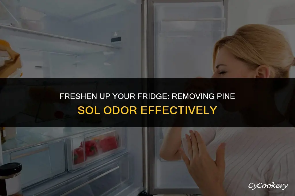 how to get pine sol smell out of refrigerator
