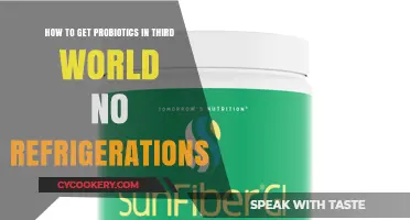 Probiotics Without Refrigeration: A Guide for Third World Access