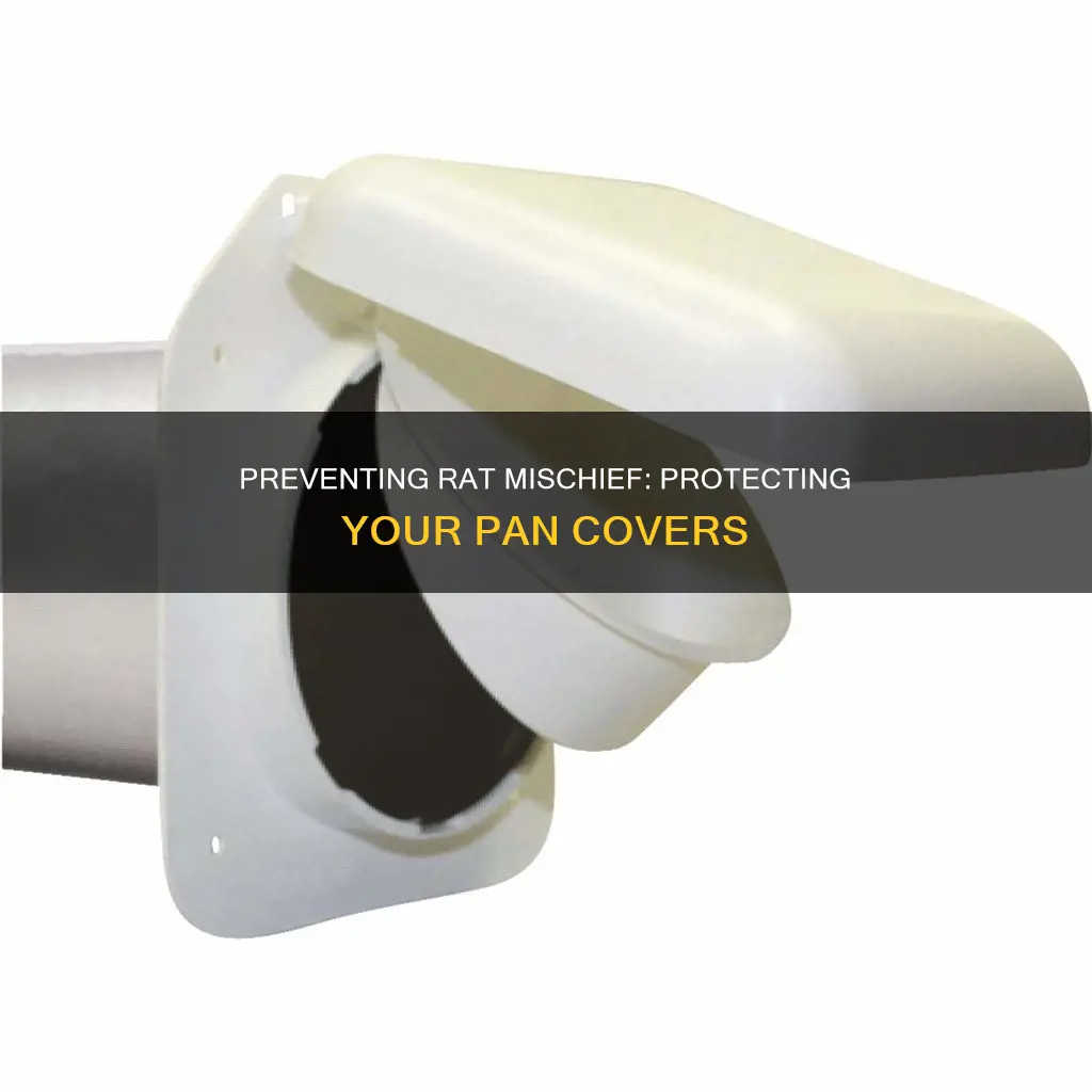 how to get rats to stop tearing up pan covers