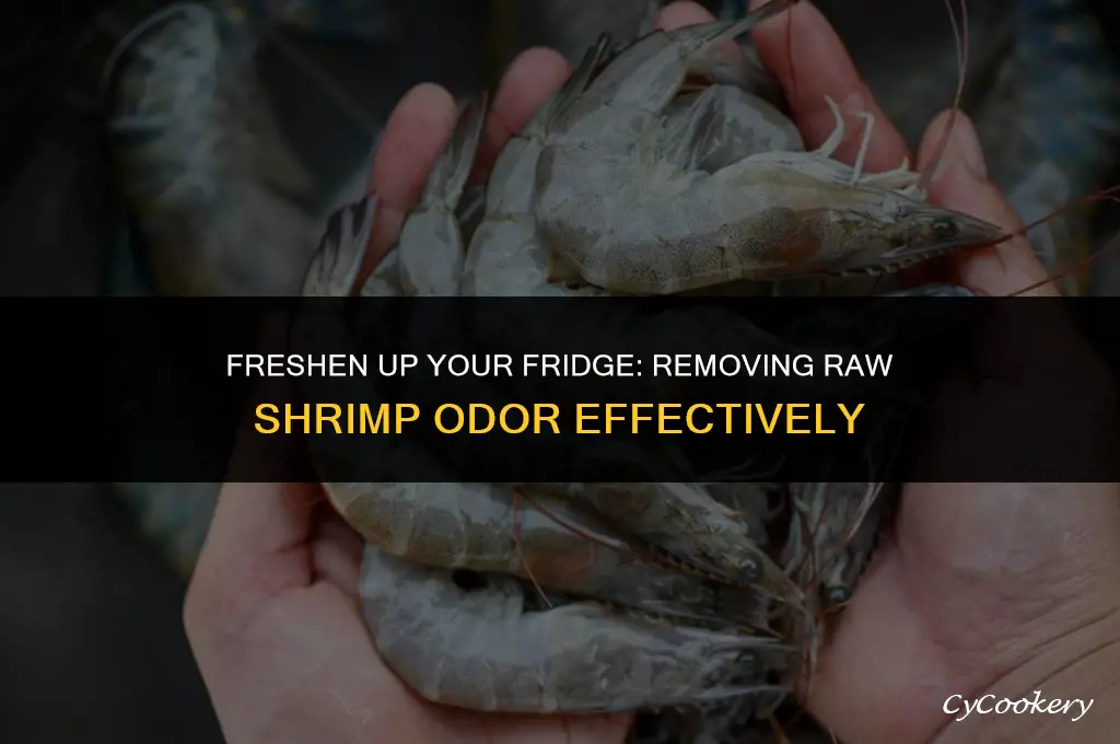 how to get raw shrimp smell out of refrigerator