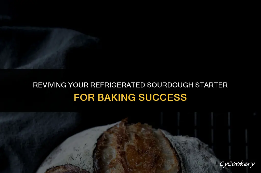 how to get refrigerated sourdough starter ready for baking