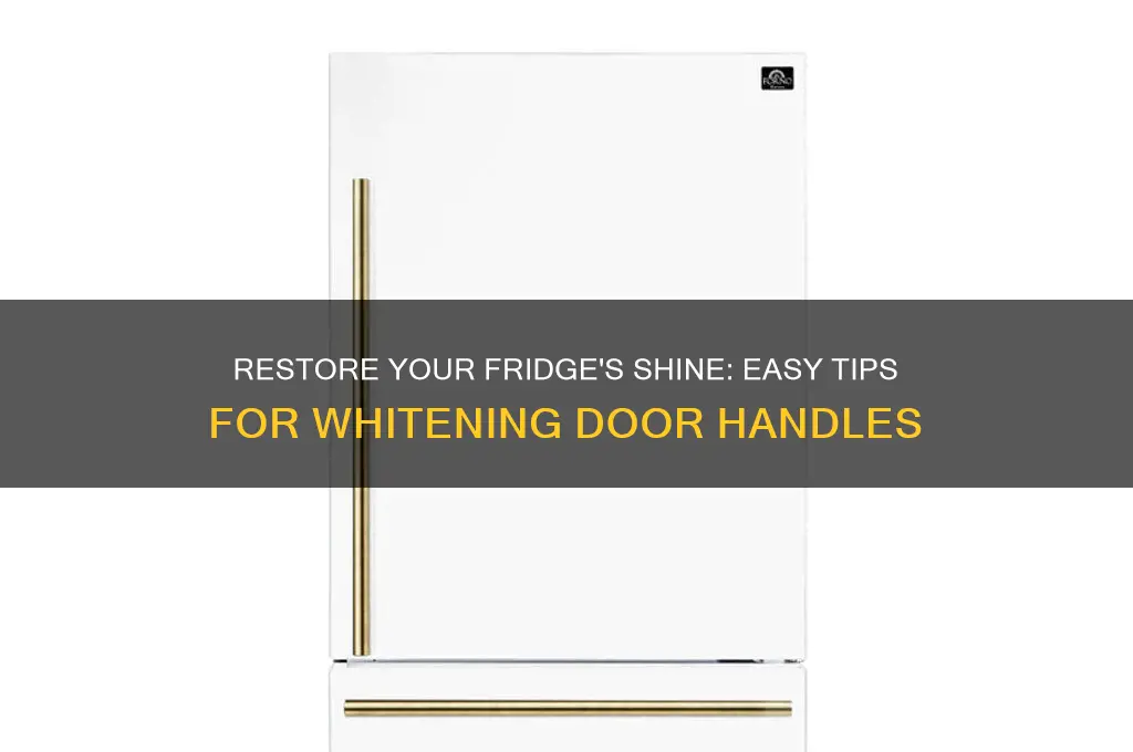 how to get refrigerator door handles white