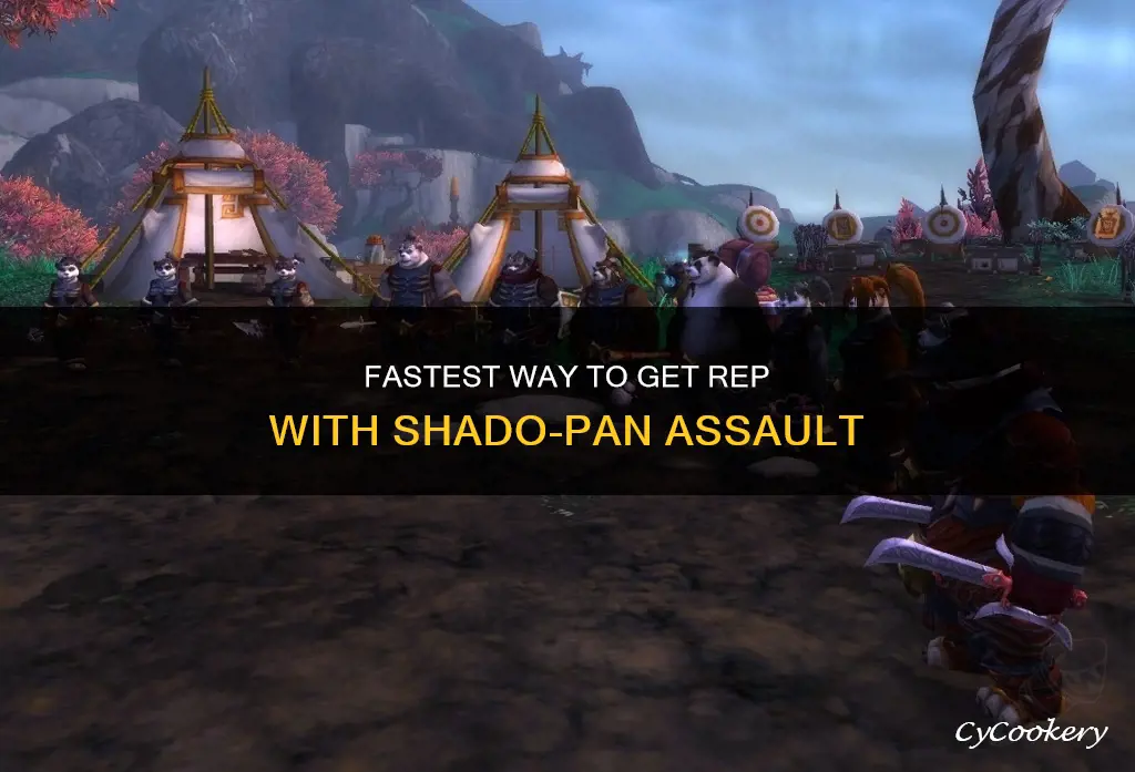 how to get rep with shado pan assault fast