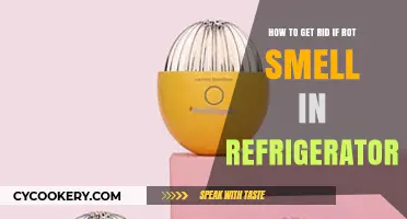 Freshen Up Your Fridge: Eliminating Rotten Odors for Good