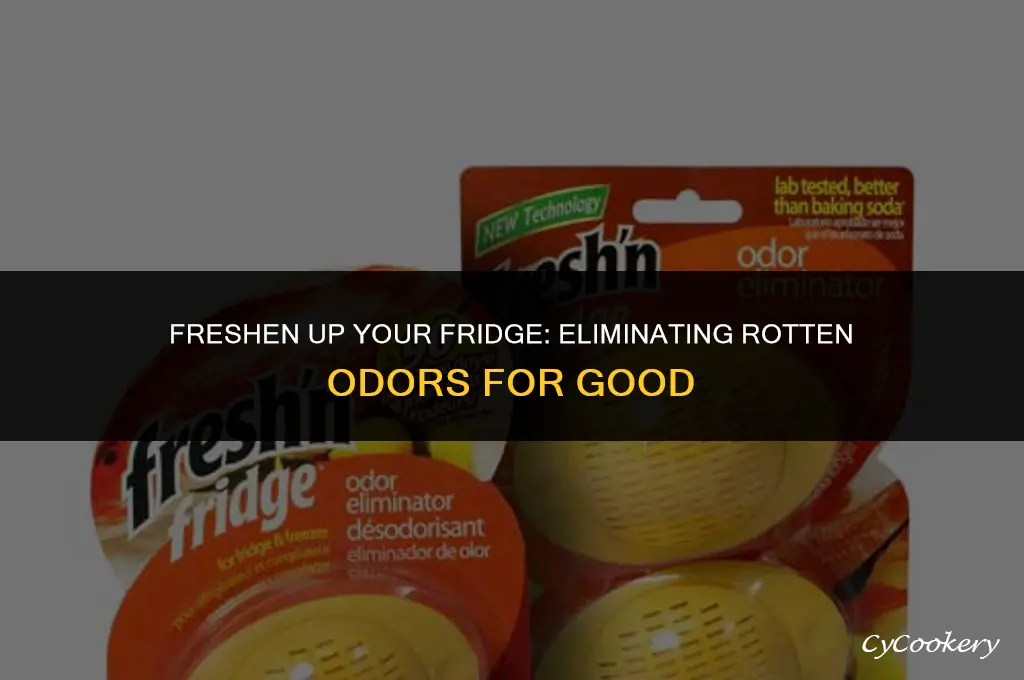 how to get rid if rot smell in refrigerator