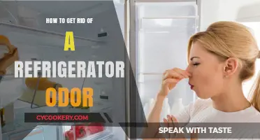 Effective Ways to Eliminate Persistent Refrigerator Odors Quickly and Easily