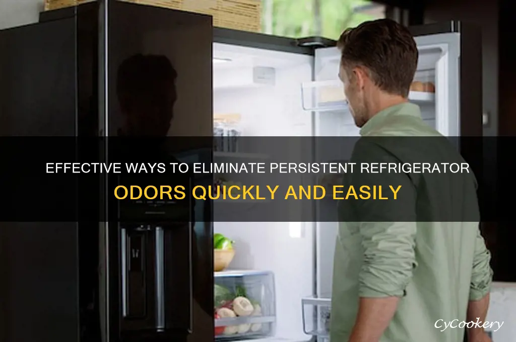 how to get rid of a refrigerator odor
