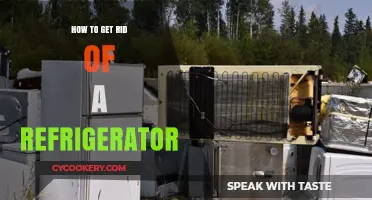 Efficient Ways to Dispose of Your Old Refrigerator Responsibly
