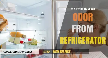 Freshen Up Your Fridge: A Guide to Eliminating Unpleasant Odors