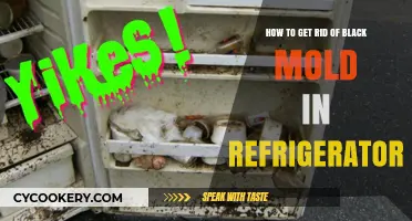 Effective Ways to Eliminate Black Mold from Your Refrigerator