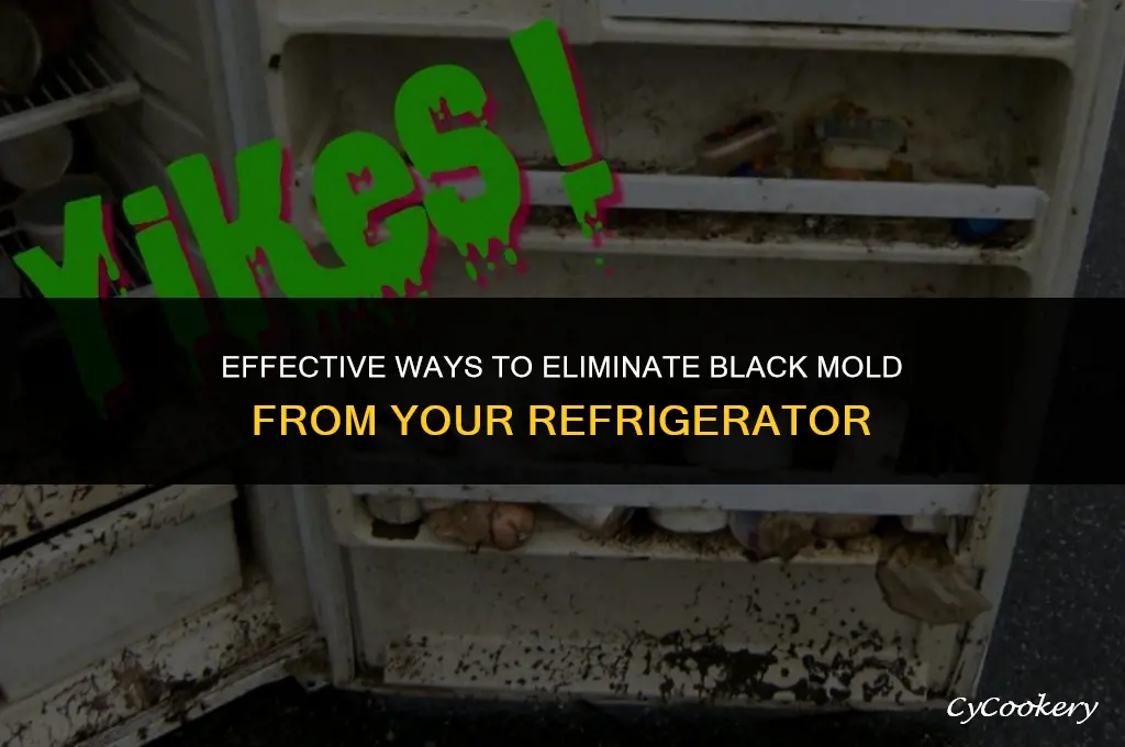 how to get rid of black mold in refrigerator