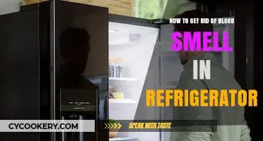 Eliminating Persistent Blood Odor from Your Refrigerator: A Guide