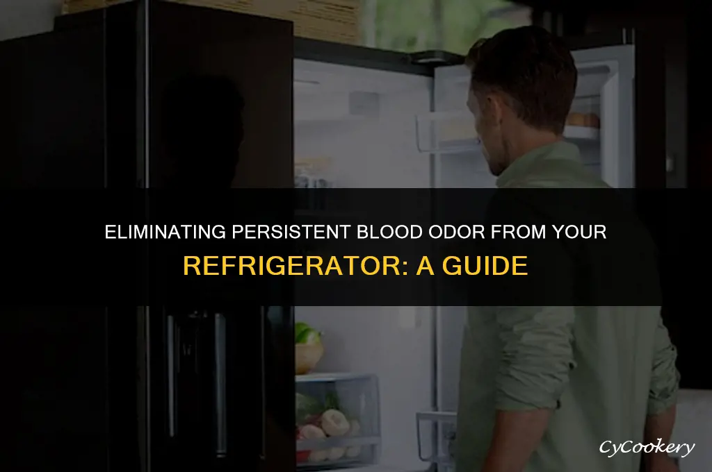 how to get rid of blood smell in refrigerator