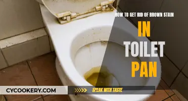 Toilet Pan Brown Stains: Quick and Easy Removal Tricks