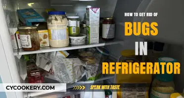 Effective Ways to Eliminate Pesky Bugs from Your Refrigerator